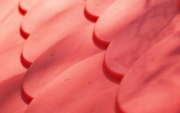 Hademore plastic roof costs