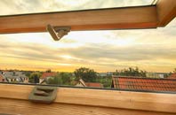 rated Hademore roof window companies